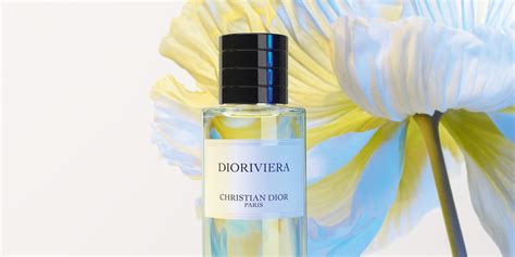 ice cube dior|christian dior dioriviera Gold Tone Ice Cube Set With Tongs.